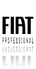 FIAT PROFESSIONAL