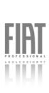 FIAT PROFESSIONAL